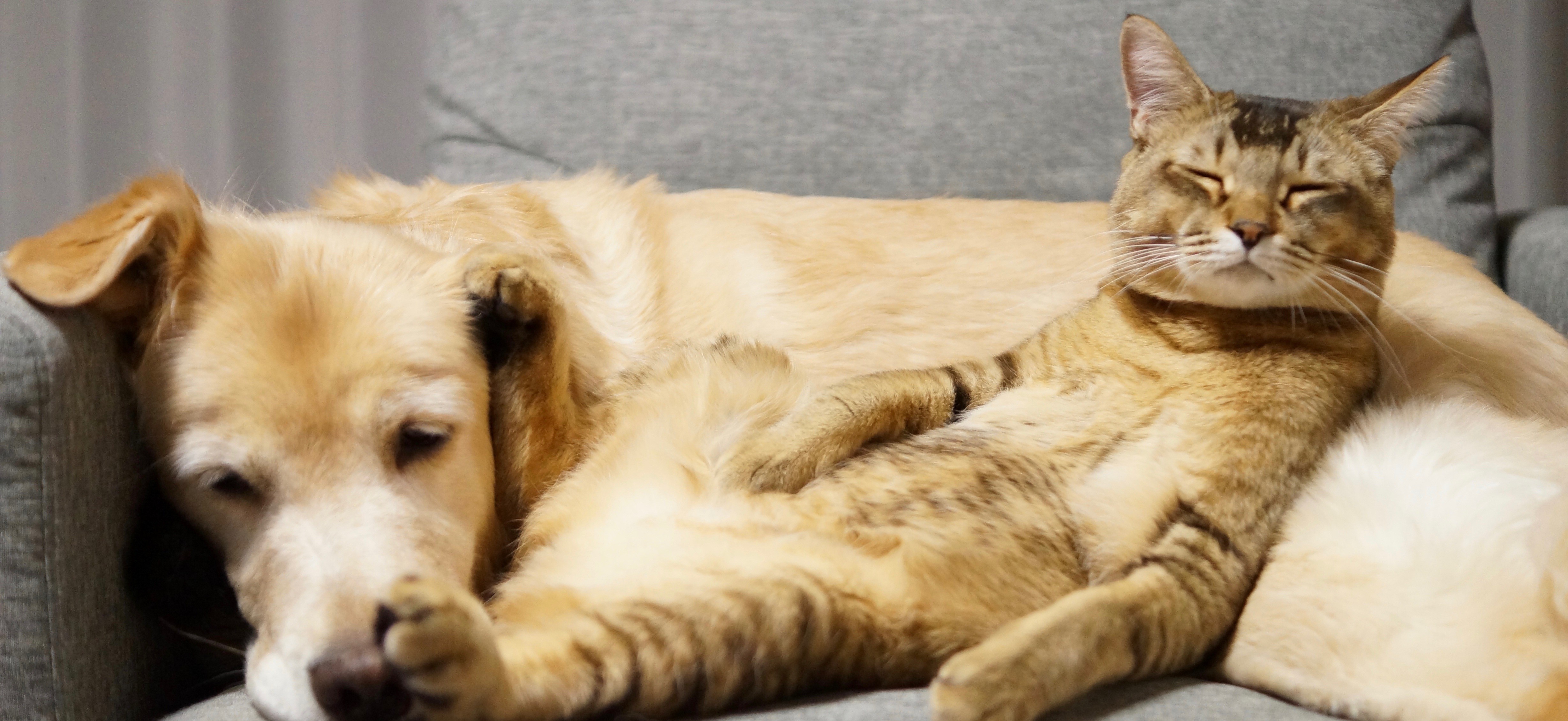 ぽんず母さんのホーム