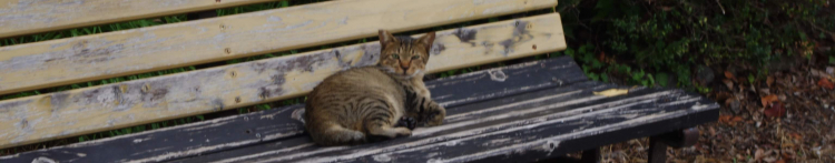 たごしんさんのホーム