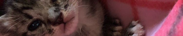 ノアたろうさんのホーム