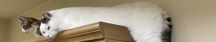 NORAの方舟さんのホーム