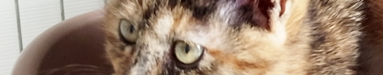 k13さんのホーム