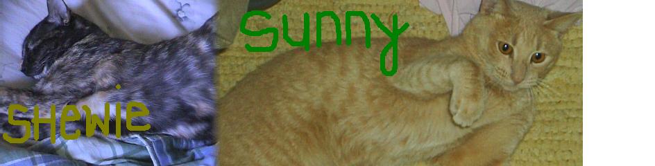 shewieさんのホーム