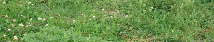 mum.mumさんのホーム