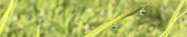 はちそらさんのホーム