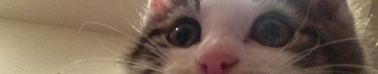 せきぐちさんのホーム