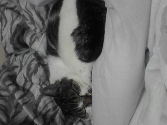 kinntaさんのホーム