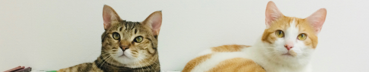 メル＆ソナタのママ。さんのホーム