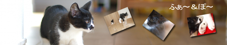 りあくさんのホーム