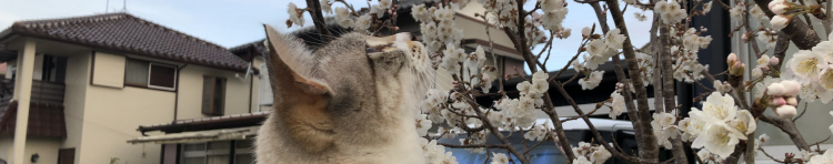 まあたろ♂さんのホーム