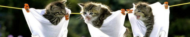 matyakoさんのホーム