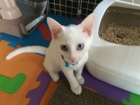 みい．さんのホーム