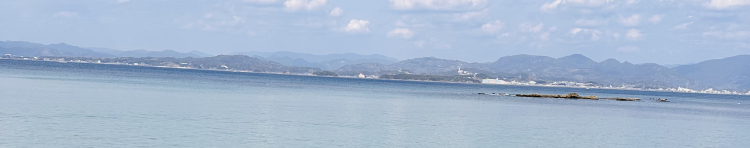 LOVEはちこさんのホーム