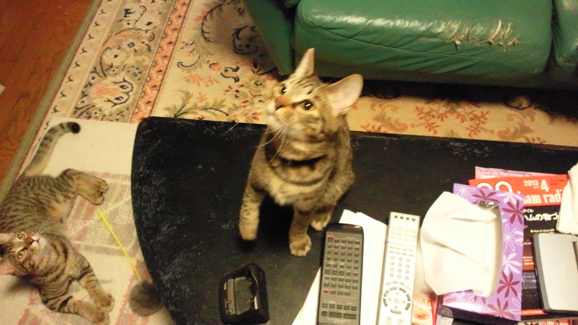 ＢＭＸさんのホーム