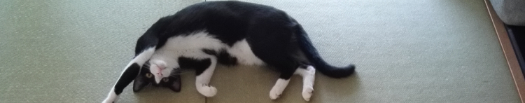 なおじ山さんのホーム