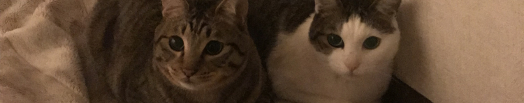 みところもんさんのホーム