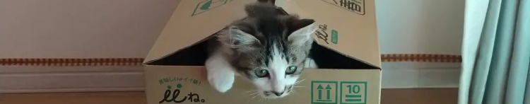 ふゆあさんのホーム