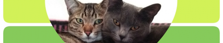 お魚案内人さんのホーム