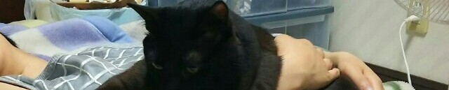 ゆっかyyyさんのホーム