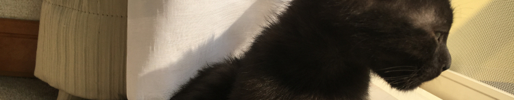 てとままさんのホーム