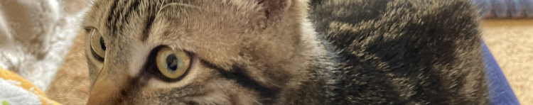 うすさんのホーム