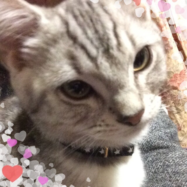 藍0417さんのホーム