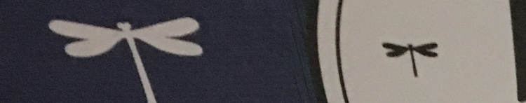 Aなおみさんのホーム