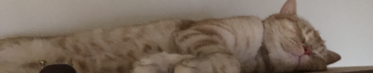 とむーらさんのホーム