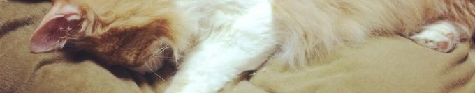 赤坂紫苑さんのホーム