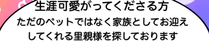 きなこ茶さんのホーム
