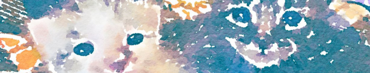 Junjun3さんのホーム