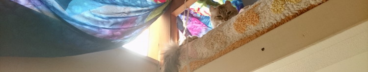 結いさんのホーム