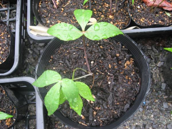 まさ太郎さんのホーム