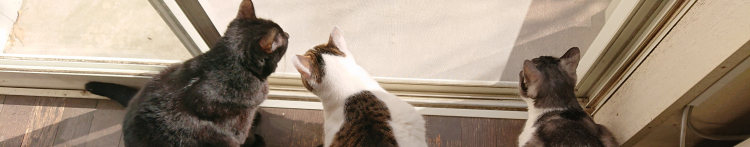 むくまろんさんのホーム