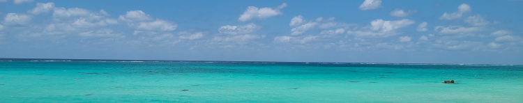 みにらねこさんのホーム