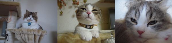 xxxyukaxxxさんのホーム