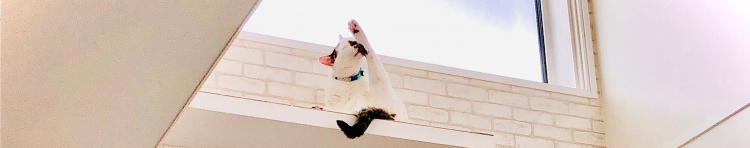 ぇみみさんのホーム