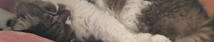 ゆうま0128さんのホーム