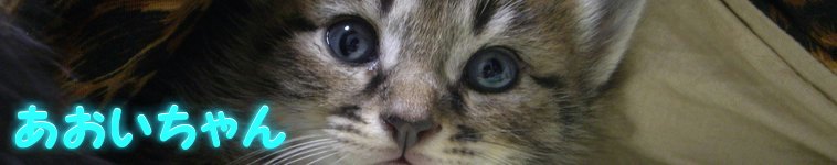 hiro96さんのホーム