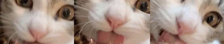 はるっぺさんのホーム