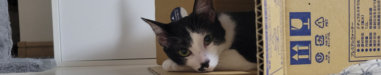 大福ちゃんのママさんのホーム