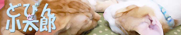 MOWさんのホーム