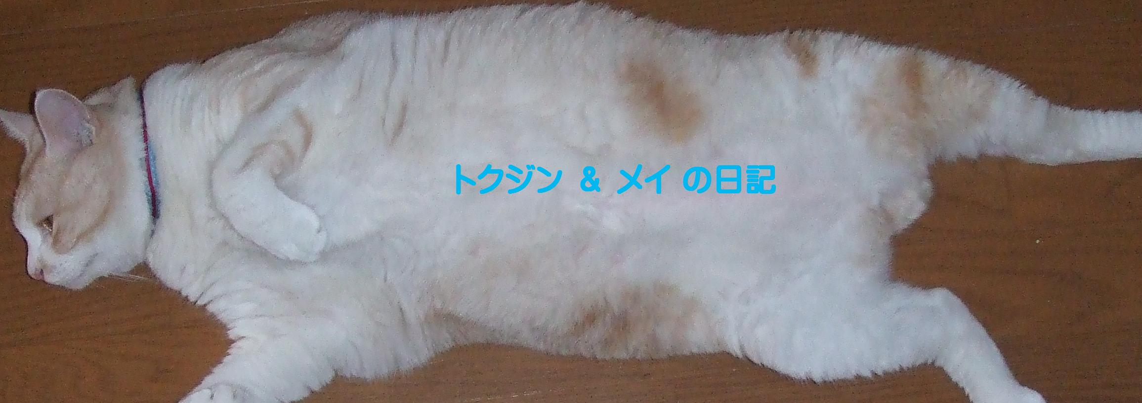 トクジンさんのホーム
