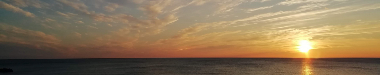 nobusmileさんのホーム