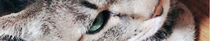 えりえりえりさんのホーム