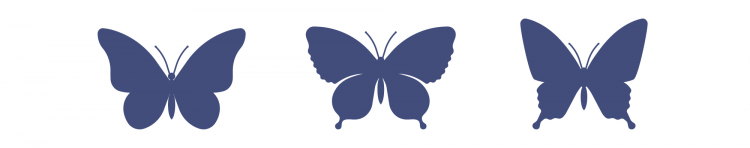 しるきーさんのホーム