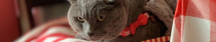 marico522さんのホーム