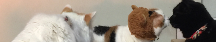 やまゆがさんのホーム