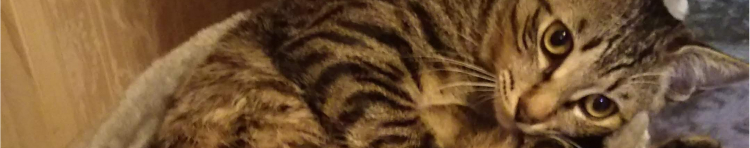 イネタロウさんのホーム