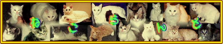 ねこらんどさんのホーム