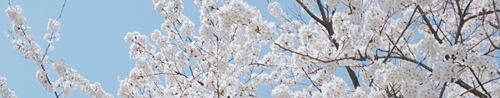 あのね。さんのホーム